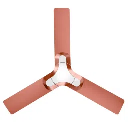 RR Signature NEW YORK BROOKLYN Ceiling Fan Floral rose 1200 mm Sweep 350 RPM-picture-45