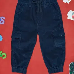 Pantaloons Baby Blue Cotton Regular Fit Trousers-picture-30
