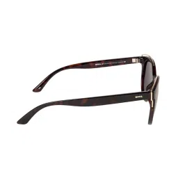 INVU B2939B Polar Brown Polarized Round Sunglasses image 4