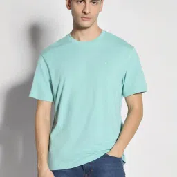 American Eagle Outfitters Sky Blue Cotton Regular Fit T-Shirt image 1