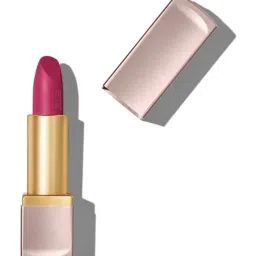 Elizabeth Arden Lip Lipstick - More Mulberry Matte 06 - 4 gm image 4