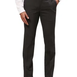 Raymond Grey Slim Fit Self Pattern Trousers image 1
