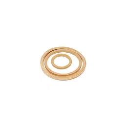 Legris Washer Copper 16 mm, 0138 16 00 (Pack of 100 Pcs)-picture-24
