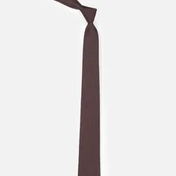 Peter England Men Checked Broad Tie image 3