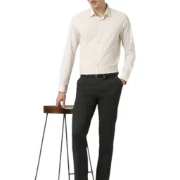 Peter England Grey Slim Fit Texture Trousers image 5