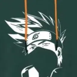 Fasha Unisex Kids Pack of 2 Printed Hooded Sweatshirt image 2