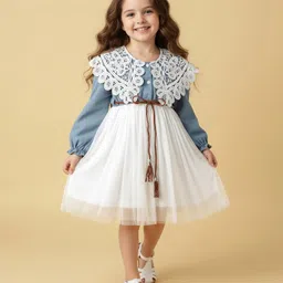 Mark & Mia Knit Full Sleeves Mesh Party Dress with Lace Detailing - Light Blue & White-picture-28