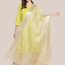 Dupatta Bazaar Gold Zari Work Dupatta-picture-30