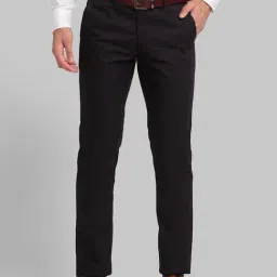 Park Avenue Black Regular Fit Trousers-picture-41