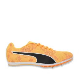 Puma Men's evoSPEED Sun Stream Cricket Shoes image 1