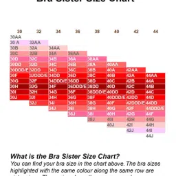 Zivame White Non Wired Non Padded Maternity Bra image 5