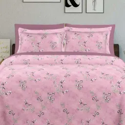 Ariana SARDINIA Pink Cotton 144 TC King Size Bedsheet With 2 Pillow Covers-image-75