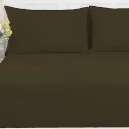 Maspar Dark Brown 100% Cotton 200 TC Bed Sheet Set-image-41