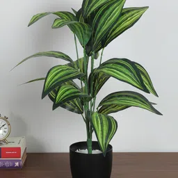 Arick Decor 2.2Ft Artificial Cast-Iron Plant| 26 Leaves with Basic Black Pot-picture-24