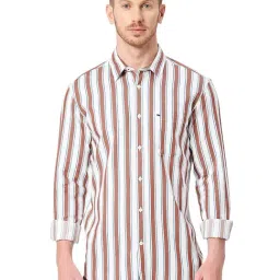 Basics Brown Cotton Slim Fit Striped Shirt-image-69