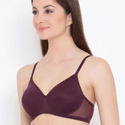 Clovia Multicolor Non Wired Non Padded T-Shirt Bra (Pack Of 2) image 3