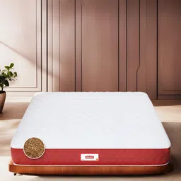 COIRFIT White & Maroon Quilted Cotton Orthopedic Single SizeMattress-picture-36