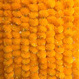 Nutts 10-Pcs Orange-Colored Marigold Flower String image 2