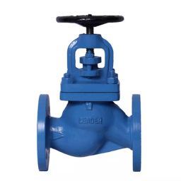 Leader CI 014 Cast Iron I Globe Valve PN - 16-picture-10