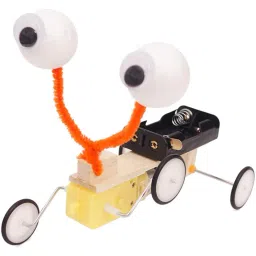 DIY Educational Electric Reptile Robot for Science Experiment image 1