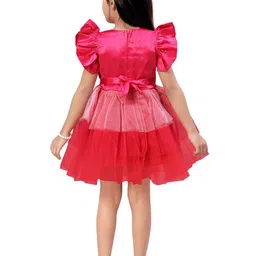 BAESD Girls Colourblocked Flutter Sleeves Fit and Flare Dress image 3