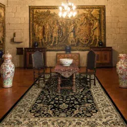 sapana carpet-mats Black Traditional 6 ft x9 ft Carpet-picture-11