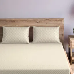 Trance Home Linen Cream Checked Pure Cotton 300 TC Single Bedsheet Set-1.83 m x 0.76 m image 4