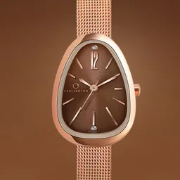 CARLINGTON Women Dial & Stainless Steel Straps Analogue Watch Iconic 2047 Brown-image-69