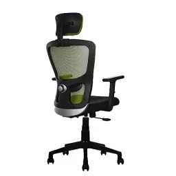 Rose Teesla Mesh High Back Ergonomic Office Chair Work from Home Green and Black-picture-15