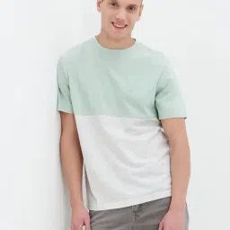 American Eagle Outfitters Green Cotton Regular Fit Colour Block T-Shirt-image-16