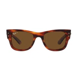 Ray-Ban 0RB0840S954/5751 Brown UV Protected Evolution Wayfarer Sunglasses image 1