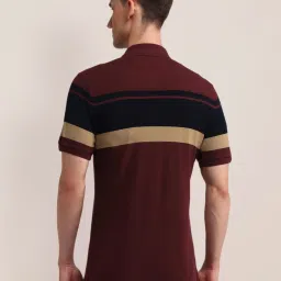 u.s. polo assn. U.S.Polo Assn. Maroon Cotton Slim Fit Striped Polo T-Shirt image 2