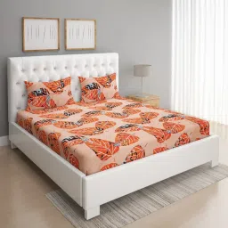 Romee Geometric Multicolor 144 TC Cotton Queen Sized Bed Sheet with 2 Pillow Covers image 3