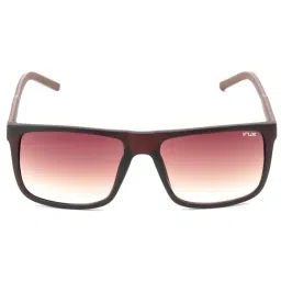Irus Brown Rectangular UV Protection Sunglasses for Men image 2