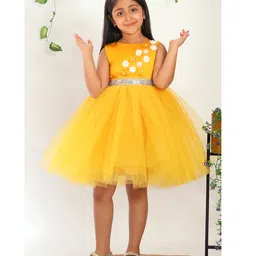 Toy Balloon Kids Net Woven Sleeveless Floral Applique Detailed Dress - Yellow-picture-32