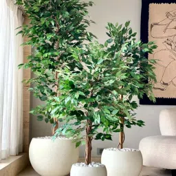 Mason Home Green Pvc Artificial Weeping Ficus Tree - 5 Feet image 2