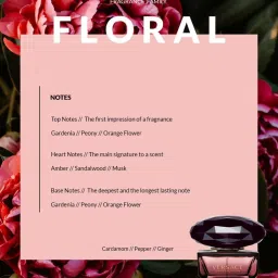 Versace Crystal Noir Eau de Toilette 50 ml for Women image 2