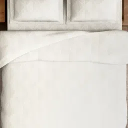 Spaces Cream Cotton Geometric Design 300 TC Double Bedsheet with 2 Pillow Covers image 3