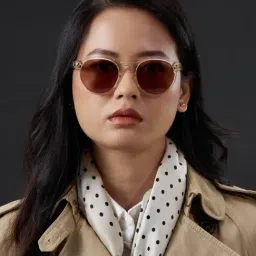 Shisen Fox Grey UV Protection Round Unisex Sunglasses image 4