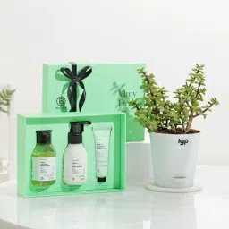 Minty Fresh Women's Day Body Care And Jade Plant Combo-picture-15