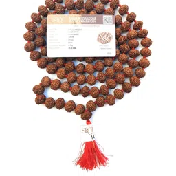 Apnisanskriti Unisex 8-Face Rudraksha Mala-picture-41