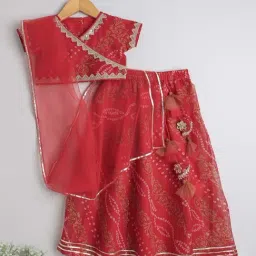 The Magic Wand Kids Red Embroidered Lehenga Cholis-picture-13