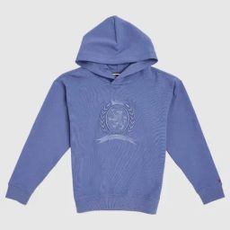 Tommy Hilfiger Kids Blue Cotton Relaxed Fit Embroidered Hoodie-picture-4