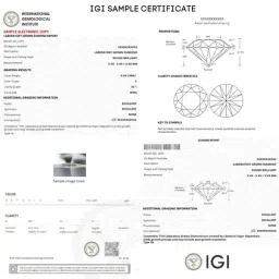 Emori 18k Yellow Gold & Lab Grown Diamond 2 CT Versatile Solitaire Stud Earrings image 4