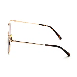 Scott SC2545 Maggie Brown Foxy Sunglasses image 4