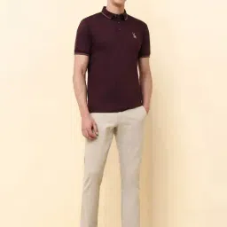 Allen Solly Maroon Cotton Regular Fit Polo T-Shirt image 5