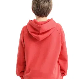 Rare Ones Boys Red Cotton Embroidered Relaxed Fit Sweatshirt image 2