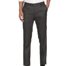 Arrow Grey Regular Fit Trousers-picture-34