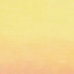 Juniors by Lifestyle Baby Boys Yellow T-Shirt image 4