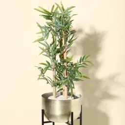 Westside Home Green Bamboo Plant - Medium-picture-27